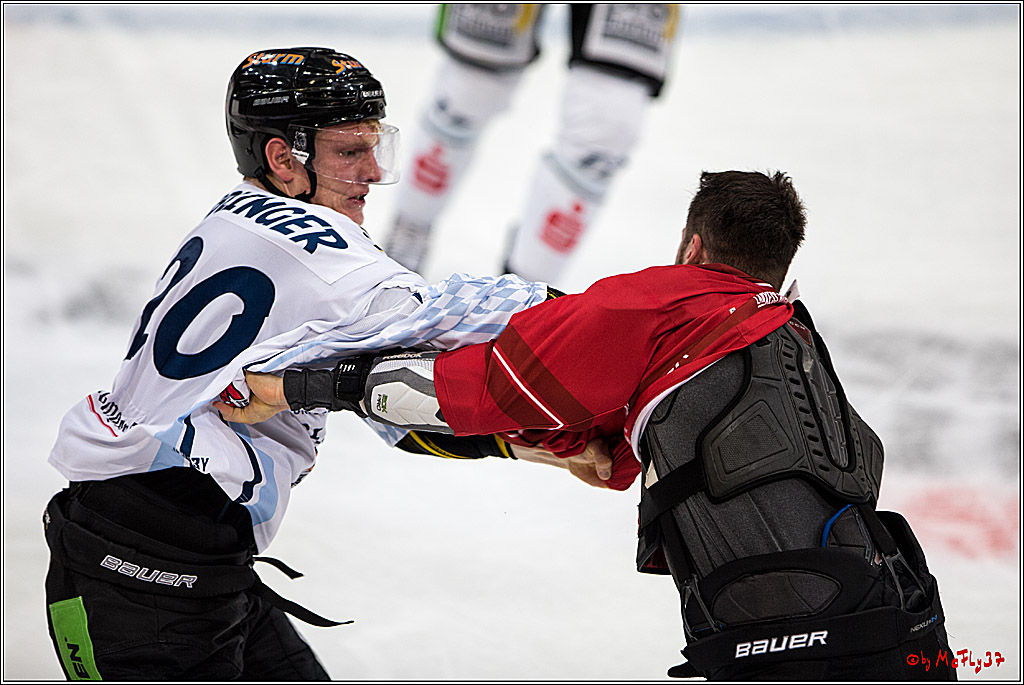 Koelner Haie - Straubing Tigers, 03.10.2016